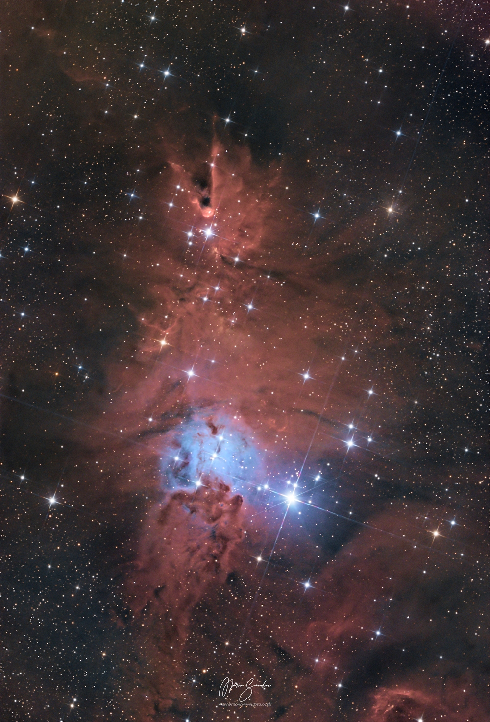 2024 12 26 Nebulosa Cono e Albero di Natale verticale